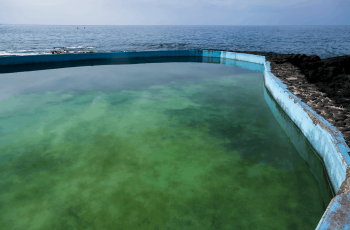 Abandoned tide pool, Big Island