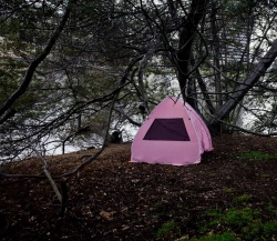 Pink Tent, Lake-Merritt, Oakland