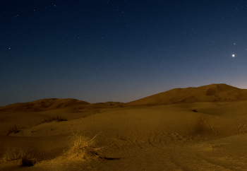 Sahara at night