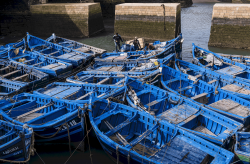 Essaouira fishing boats