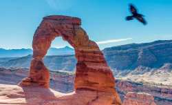 Delicate-Arch with Crow