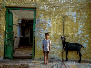 A boy and his goat, Jaipur India