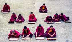 Monks_Sekim India