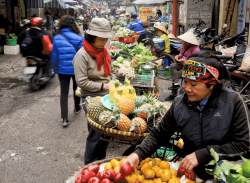 Hanoi vegetable and fruit street market